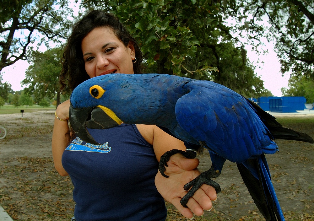 (13) Dscf4153.jpg   (1000x704)   355 Kb                                    Click to display next picture