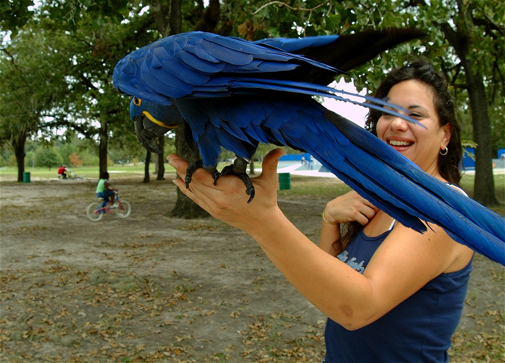 (14) Dscf4154.jpg   (1000x719)   324 Kb                                    Click to display next picture