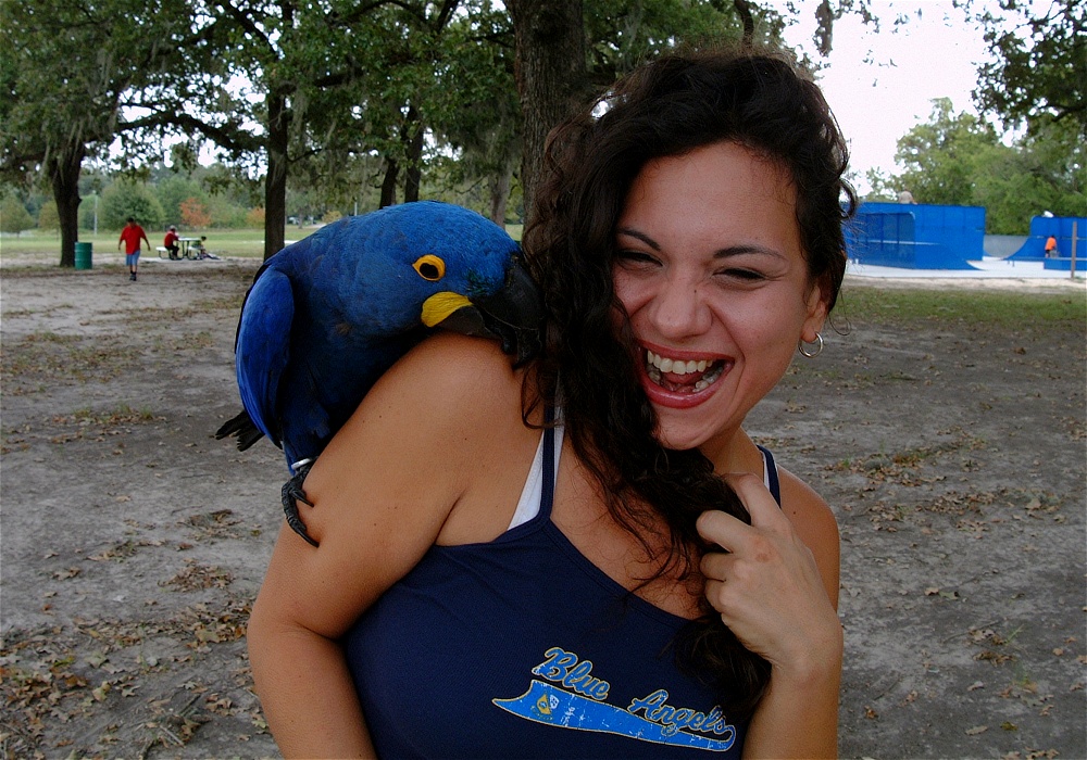 (15) Dscf4155.jpg   (1000x700)   338 Kb                                    Click to display next picture