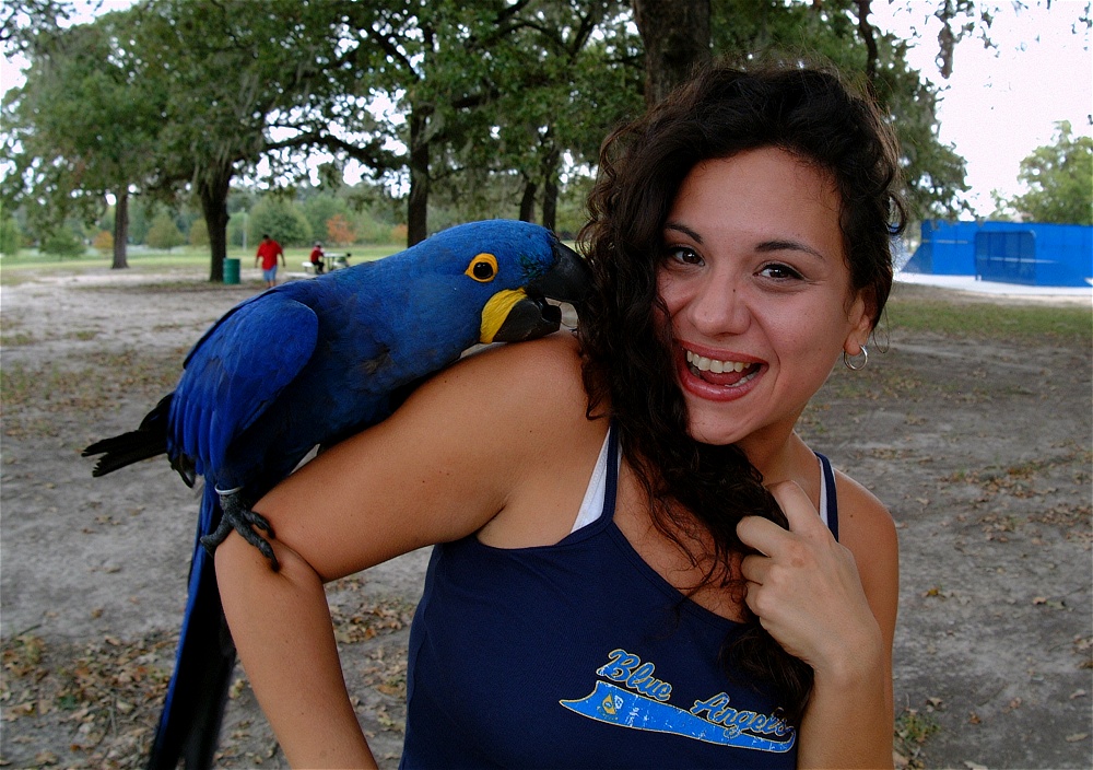 (16) Dscf4156.jpg   (1000x704)   310 Kb                                    Click to display next picture