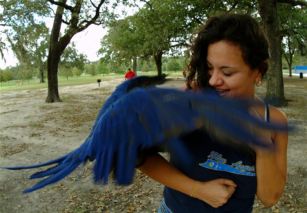 (20) Dscf4160.jpg   (1000x694)   369 Kb                                    Click to display next picture