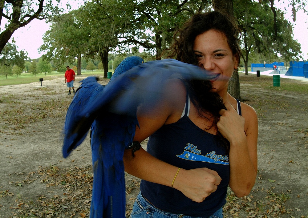 (21) Dscf4161.jpg   (1000x708)   369 Kb                                    Click to display next picture