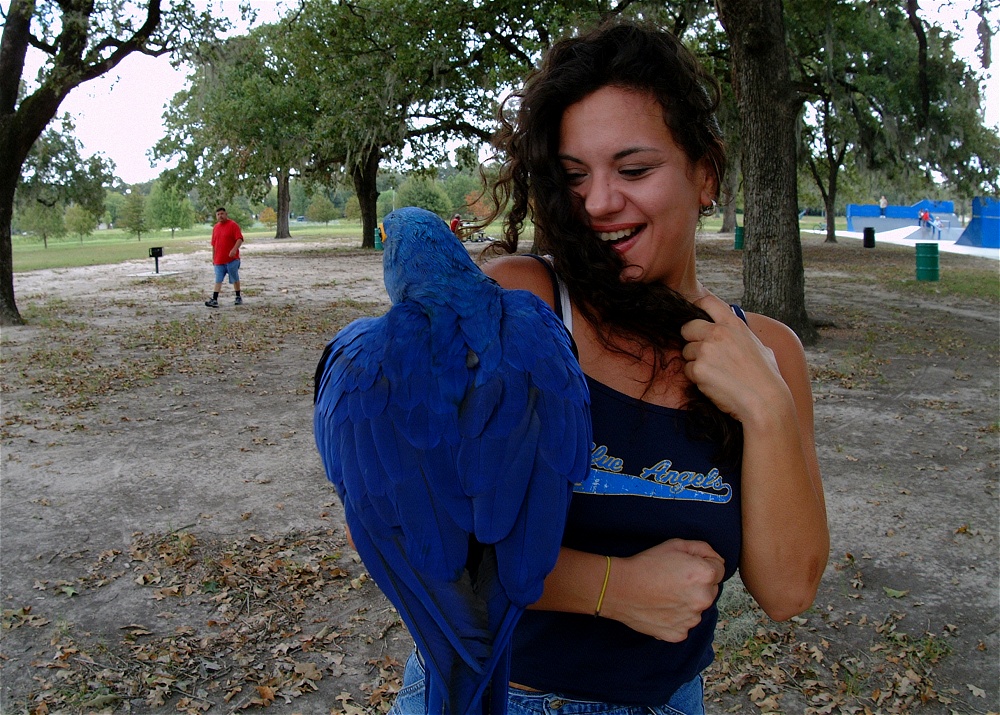 (22) Dscf4162.jpg   (1000x715)   393 Kb                                    Click to display next picture