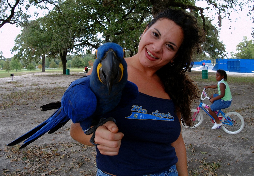 (25) Dscf4165.jpg   (1000x695)   388 Kb                                    Click to display next picture