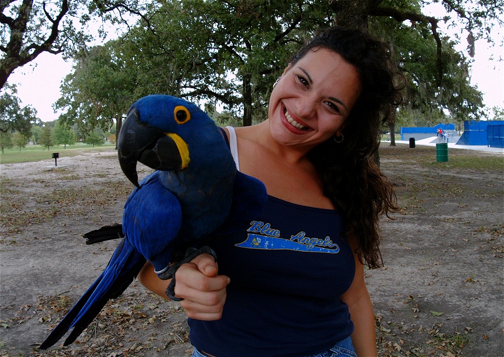 (26) Dscf4166.jpg   (1000x708)   394 Kb                                    Click to display next picture