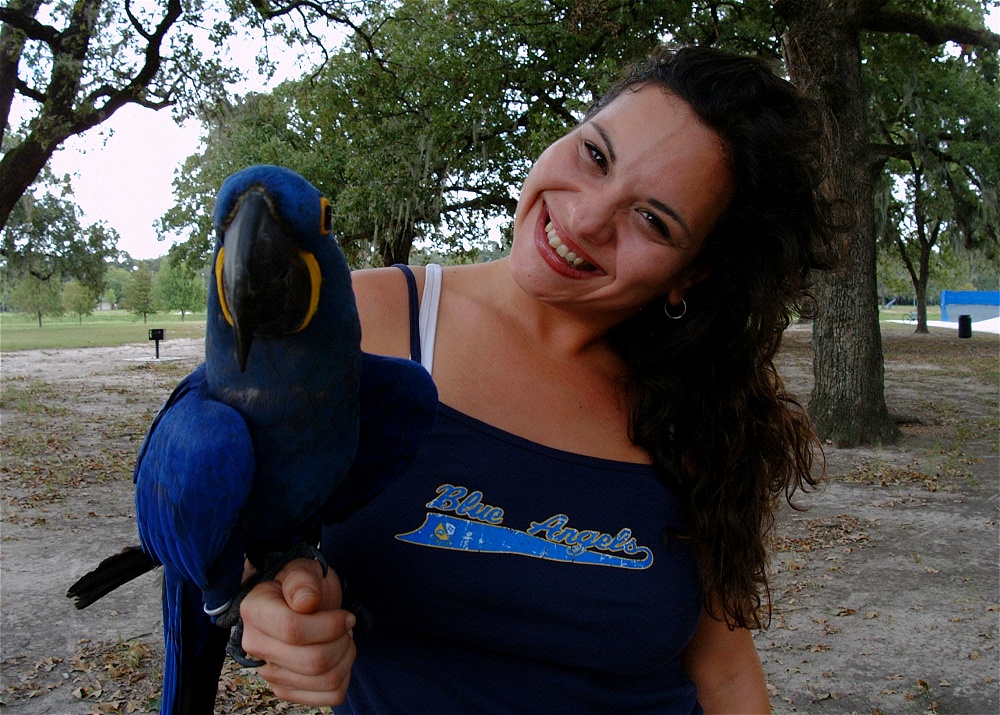 (27) Dscf4167.jpg   (1000x715)   359 Kb                                    Click to display next picture