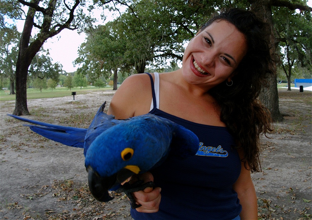 (28) Dscf4168.jpg   (1000x706)   355 Kb                                    Click to display next picture