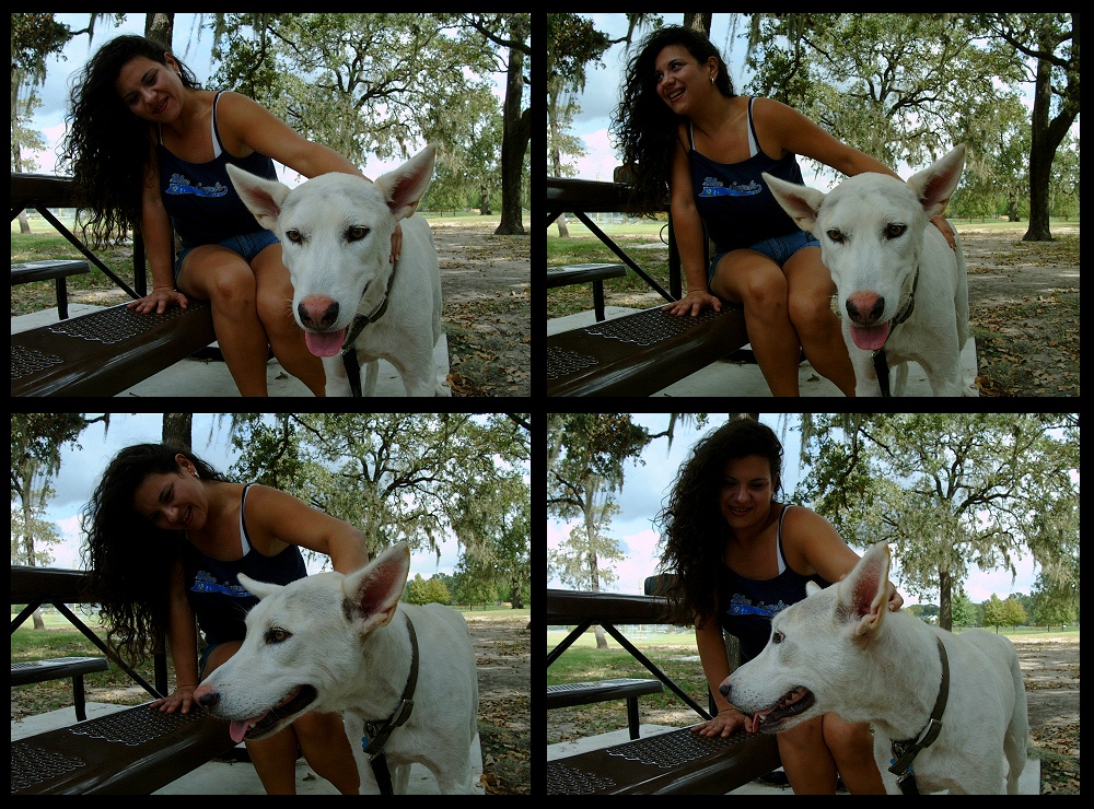 (29) bubba montage.jpg   (1000x740)   433 Kb                                    Click to display next picture