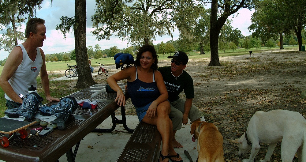 (31) Dscf4190.jpg   (1000x529)   332 Kb                                    Click to display next picture