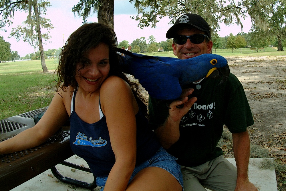 (34) Dscf4193.jpg   (1000x668)   336 Kb                                    Click to display next picture