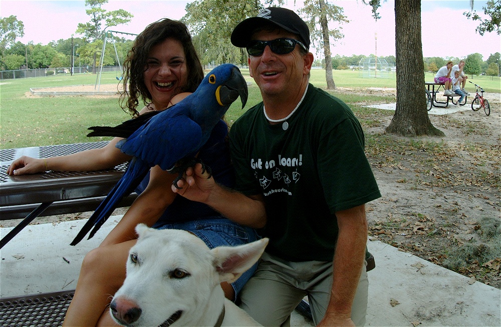 (36) Dscf4195.jpg   (1000x653)   344 Kb                                    Click to display next picture