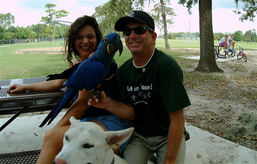 (37) Dscf4196.jpg   (1000x637)   342 Kb                                    Click to display next picture