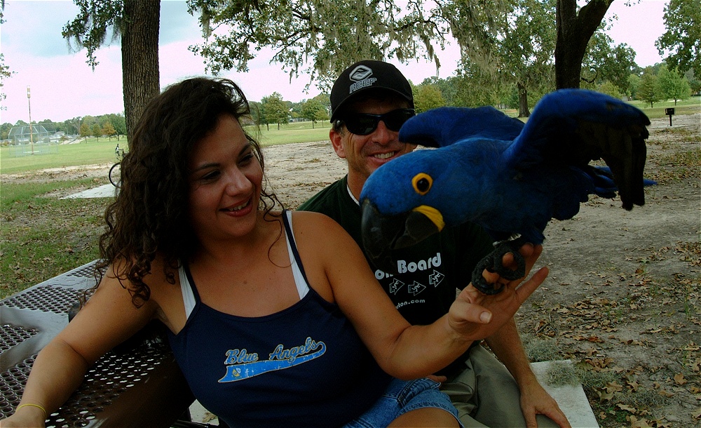 (39) Dscf4201.jpg   (1000x610)   328 Kb                                    Click to display next picture