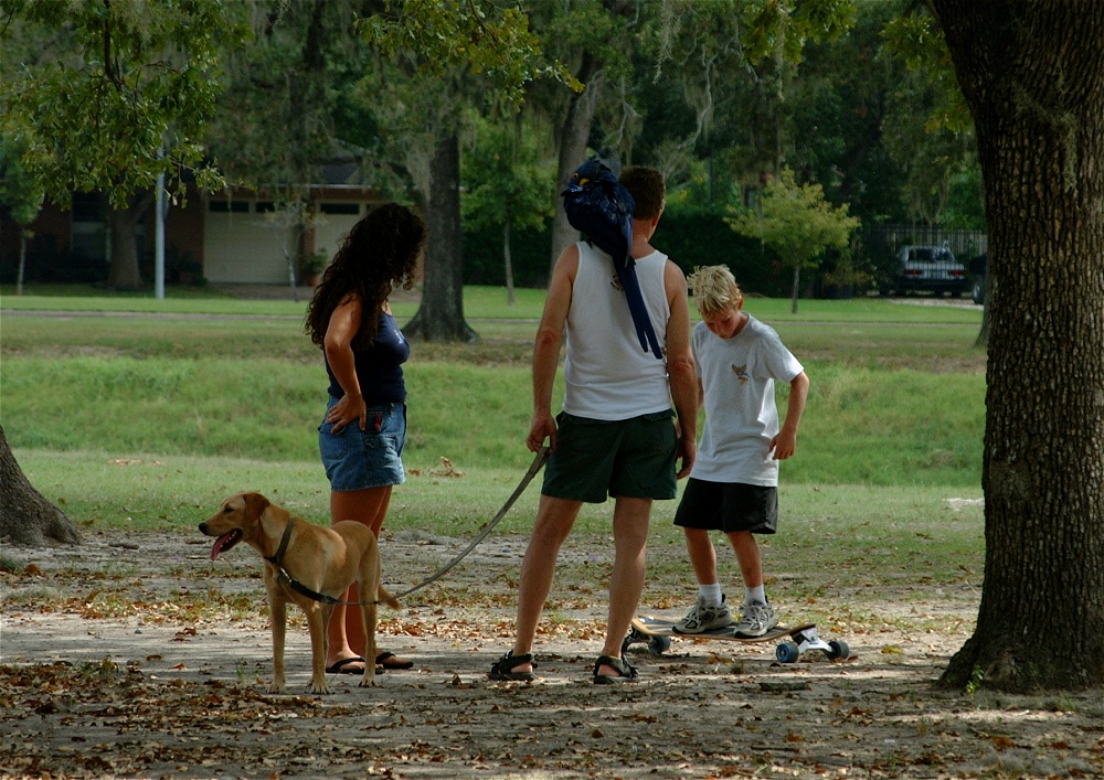 (40) Dscf3002.jpg   (1000x707)   348 Kb                                    Click to display next picture