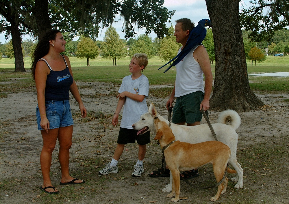 (41) Dscf3049.jpg   (1000x707)   412 Kb                                    Click to display next picture