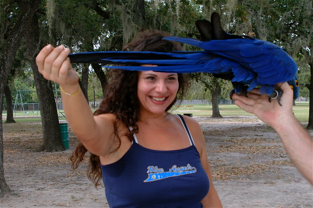 (42) Dscf3054.jpg   (1000x667)   320 Kb                                    Click to display next picture