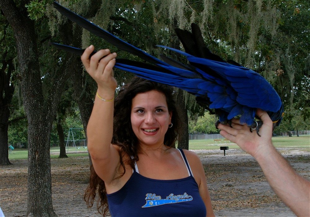 (43) Dscf3055.jpg   (1000x701)   347 Kb                                    Click to display next picture