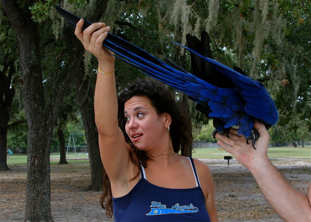 (44) Dscf3056.jpg   (1000x713)   327 Kb                                    Click to display next picture