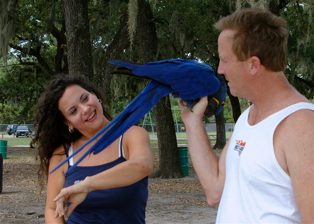 (45) Dscf3060.jpg   (1000x713)   314 Kb                                    Click to display next picture