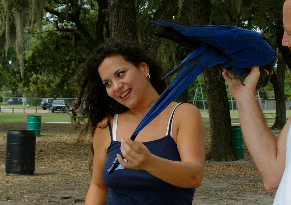 (46) Dscf3061.jpg   (1000x704)   276 Kb                                    Click to display next picture