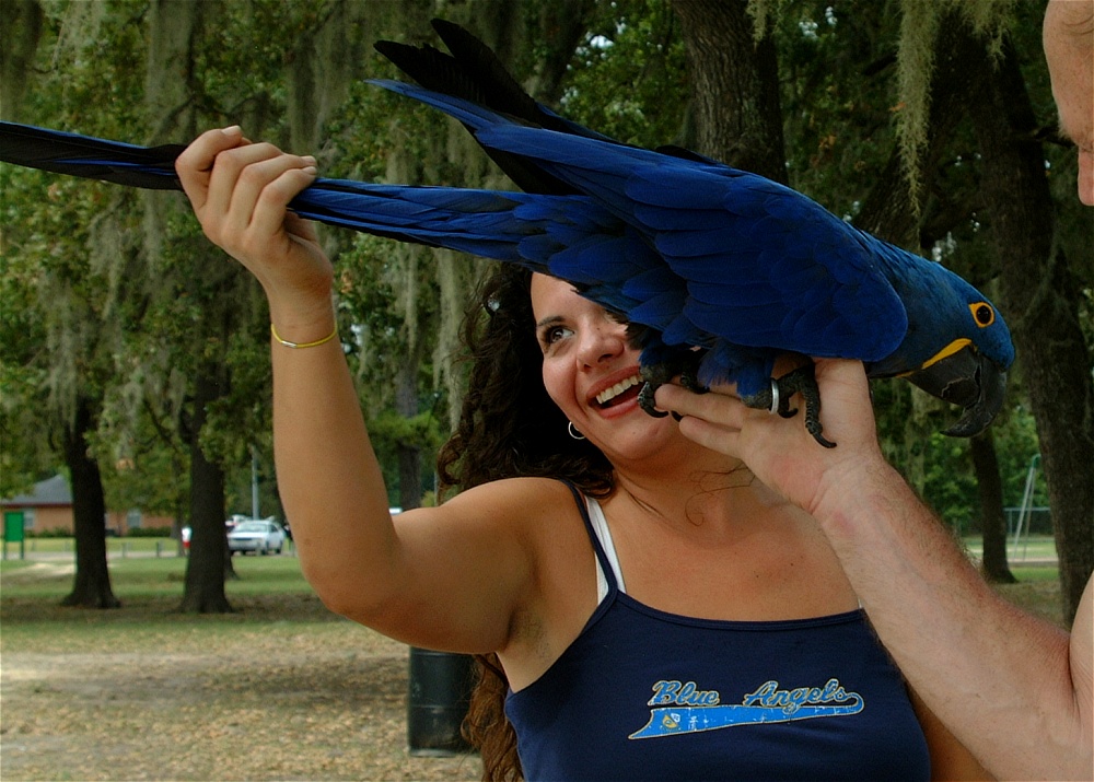 (48) Dscf3063.jpg   (1000x715)   270 Kb                                    Click to display next picture