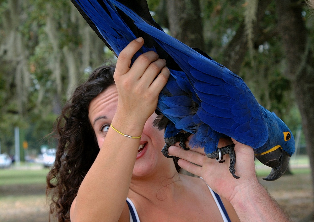 (49) Dscf3064.jpg   (1000x708)   248 Kb                                    Click to display next picture