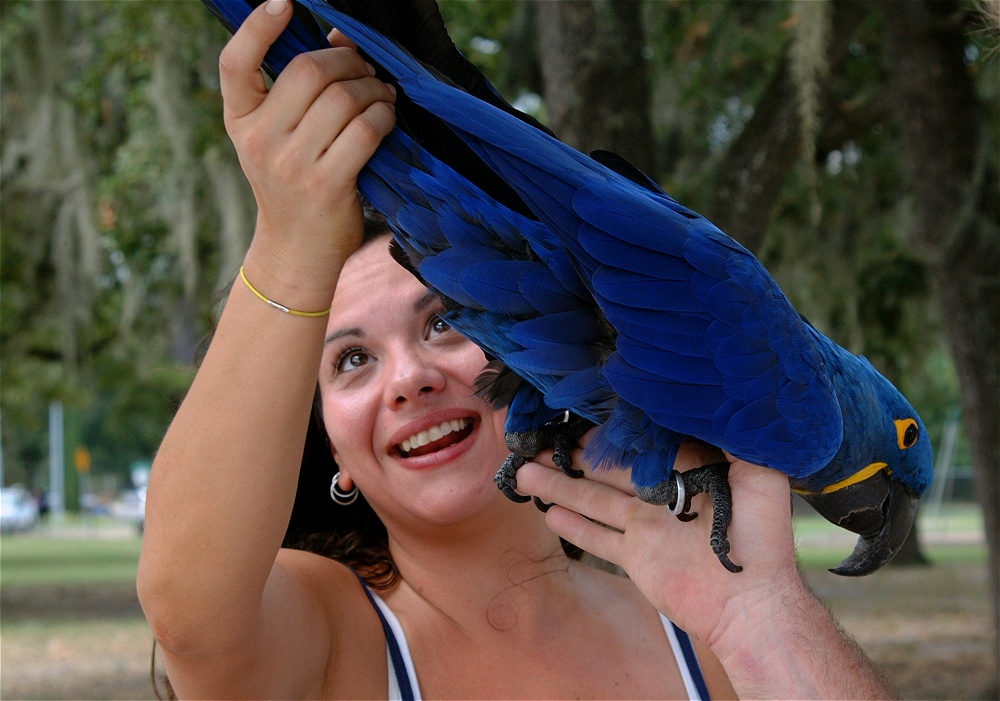 (50) Dscf3065.jpg   (1000x701)   239 Kb                                    Click to display next picture