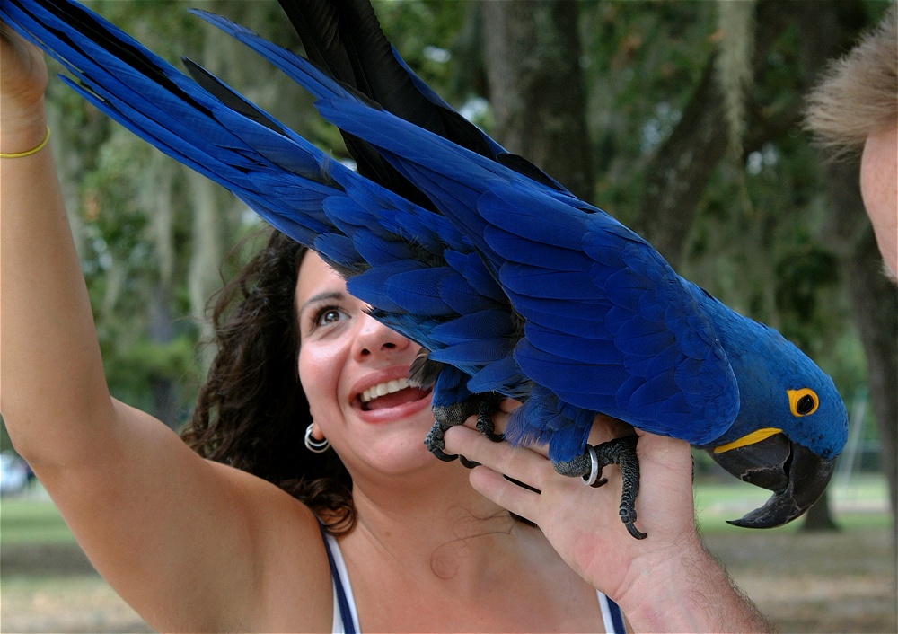 (51) Dscf3066.jpg   (1000x706)   251 Kb                                    Click to display next picture