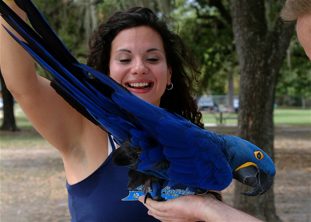 (58) Dscf3073.jpg   (1000x716)   263 Kb                                    Click to display next picture