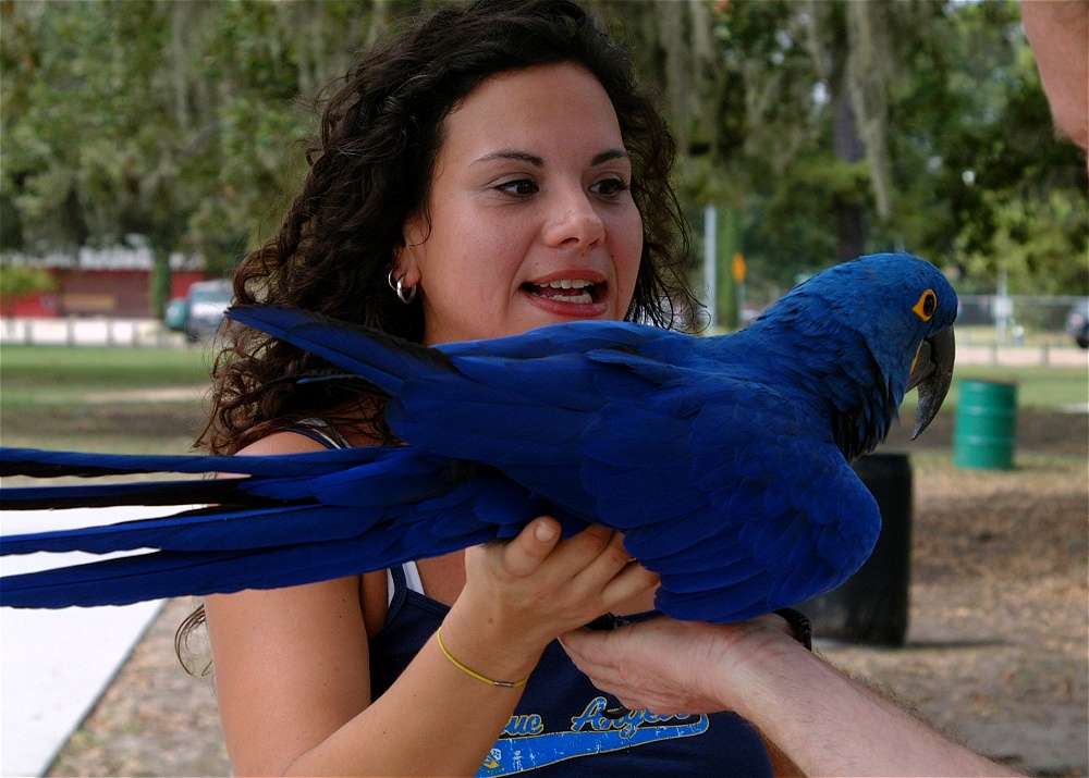 (60) Dscf3075.jpg   (1000x715)   260 Kb                                    Click to display next picture