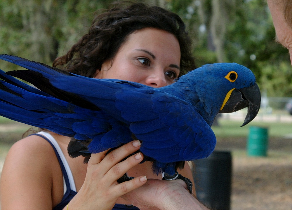 (61) Dscf3076.jpg   (1000x720)   239 Kb                                    Click to display next picture