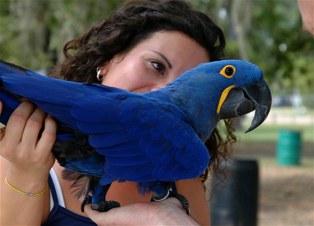 (62) Dscf3077.jpg   (1000x718)   248 Kb                                    Click to display next picture