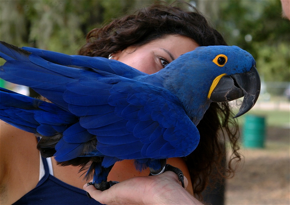 (63) Dscf3078.jpg   (1000x709)   247 Kb                                    Click to display next picture