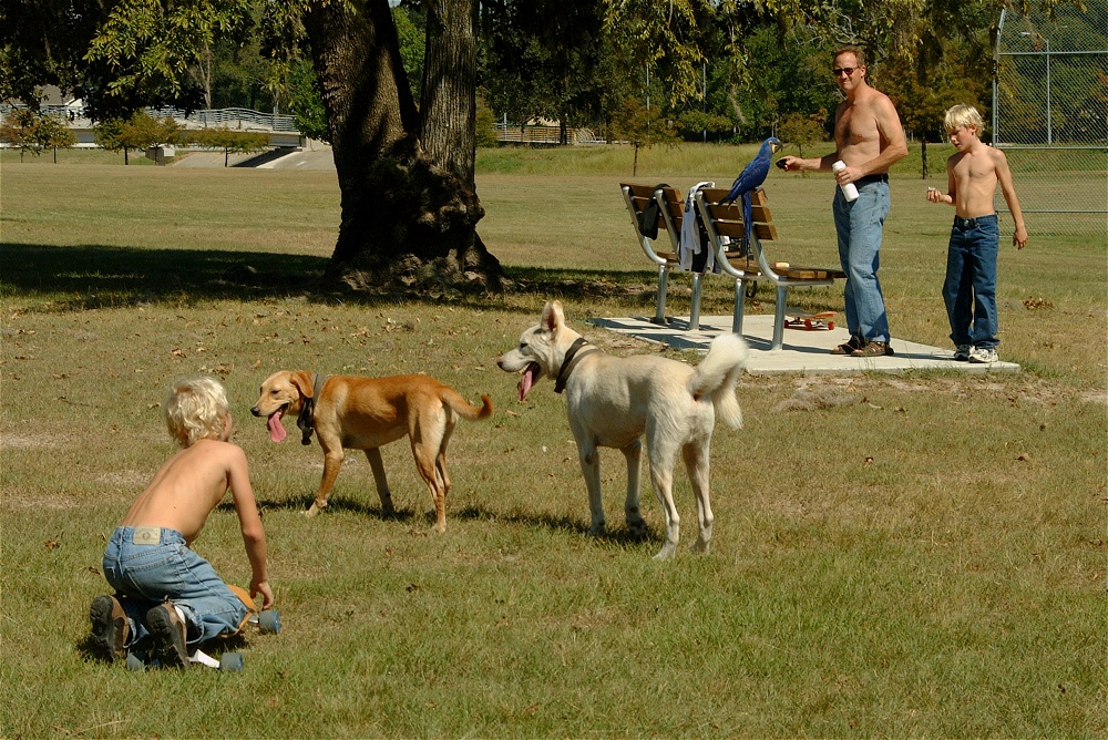 (01) Dscf0056.jpg   (1000x668)   412 Kb                                    Click to display next picture