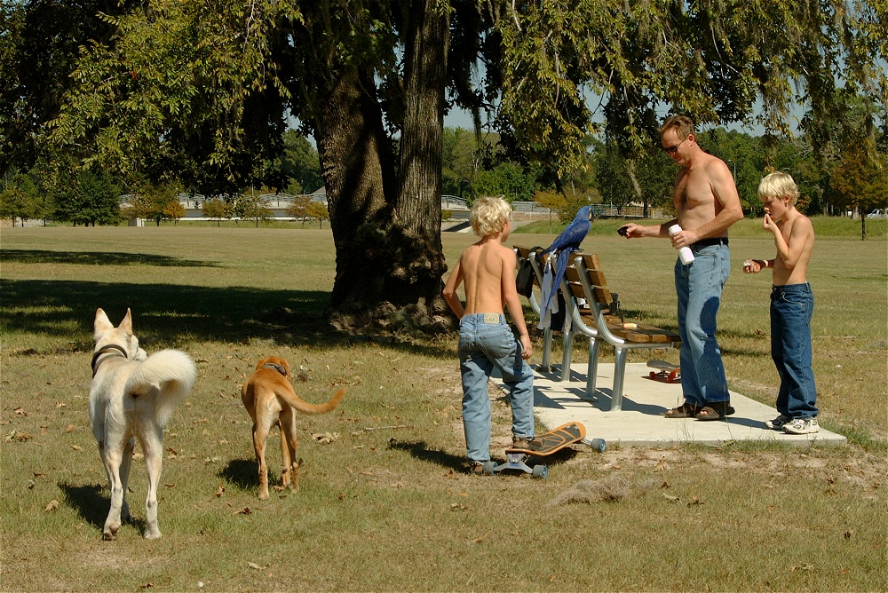 (02) Dscf0057.jpg   (1000x668)   443 Kb                                    Click to display next picture