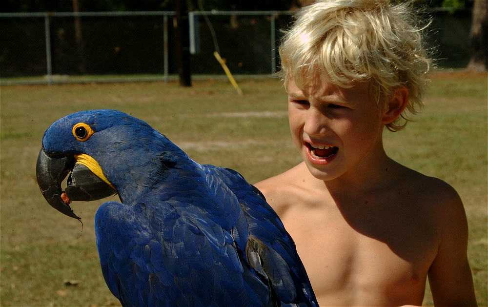 (03) Dscf0068.jpg   (1000x629)   237 Kb                                    Click to display next picture