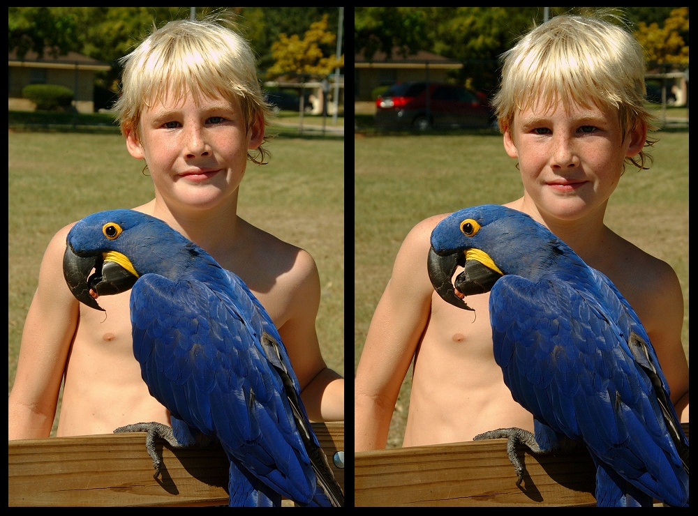 (04) bubba montage.jpg   (1000x740)   311 Kb                                    Click to display next picture