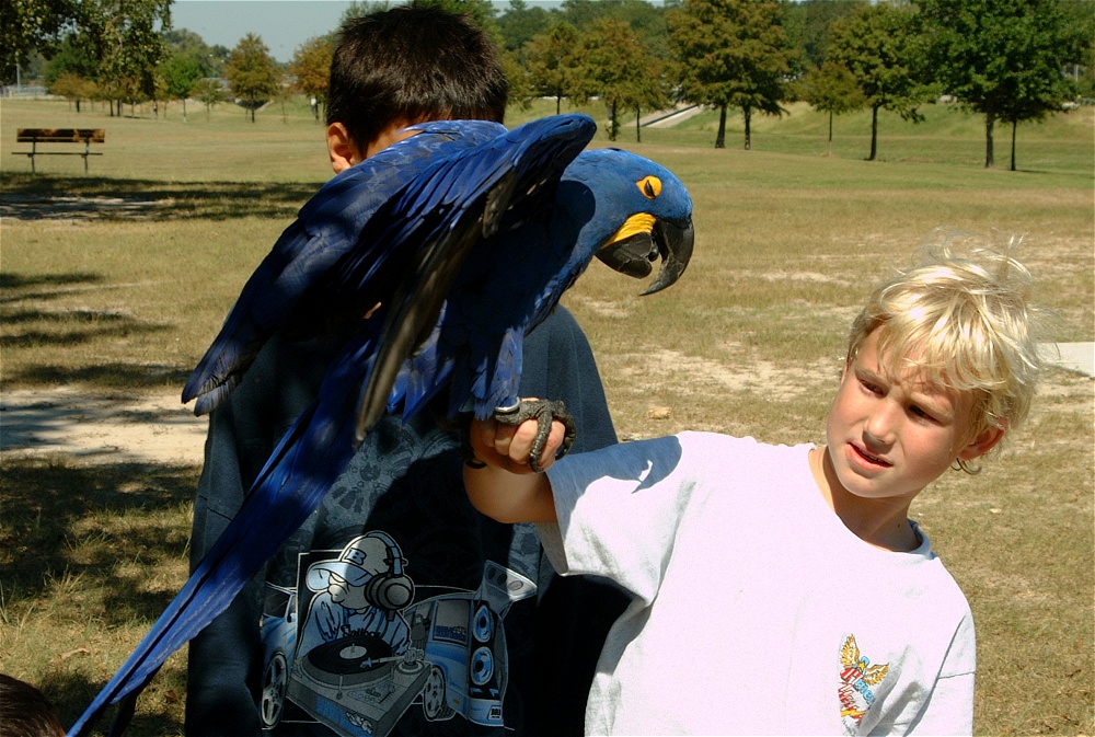 (47) Dscf0115.jpg   (1000x673)   309 Kb                                    Click to display next picture