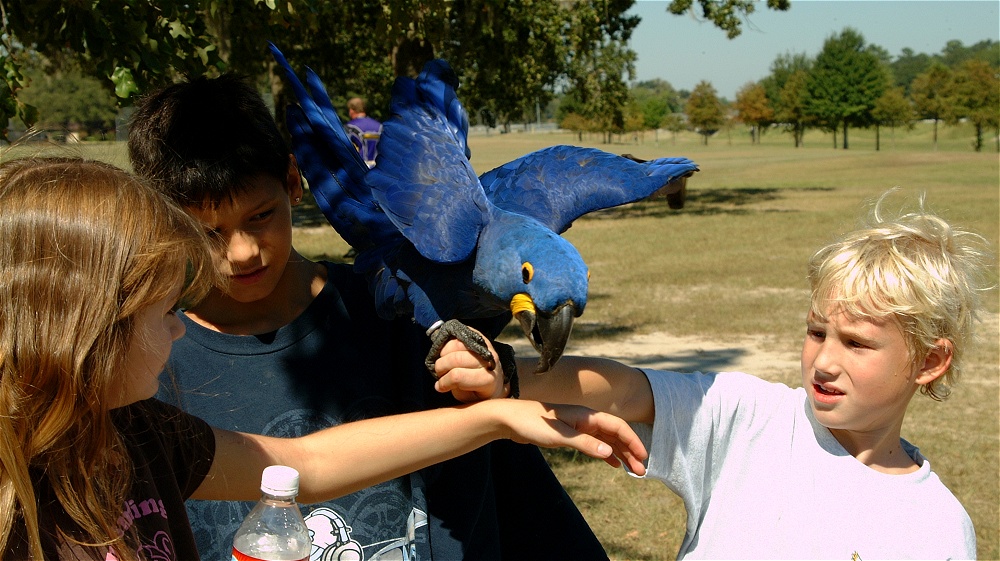 (48) Dscf0116.jpg   (1000x561)   258 Kb                                    Click to display next picture