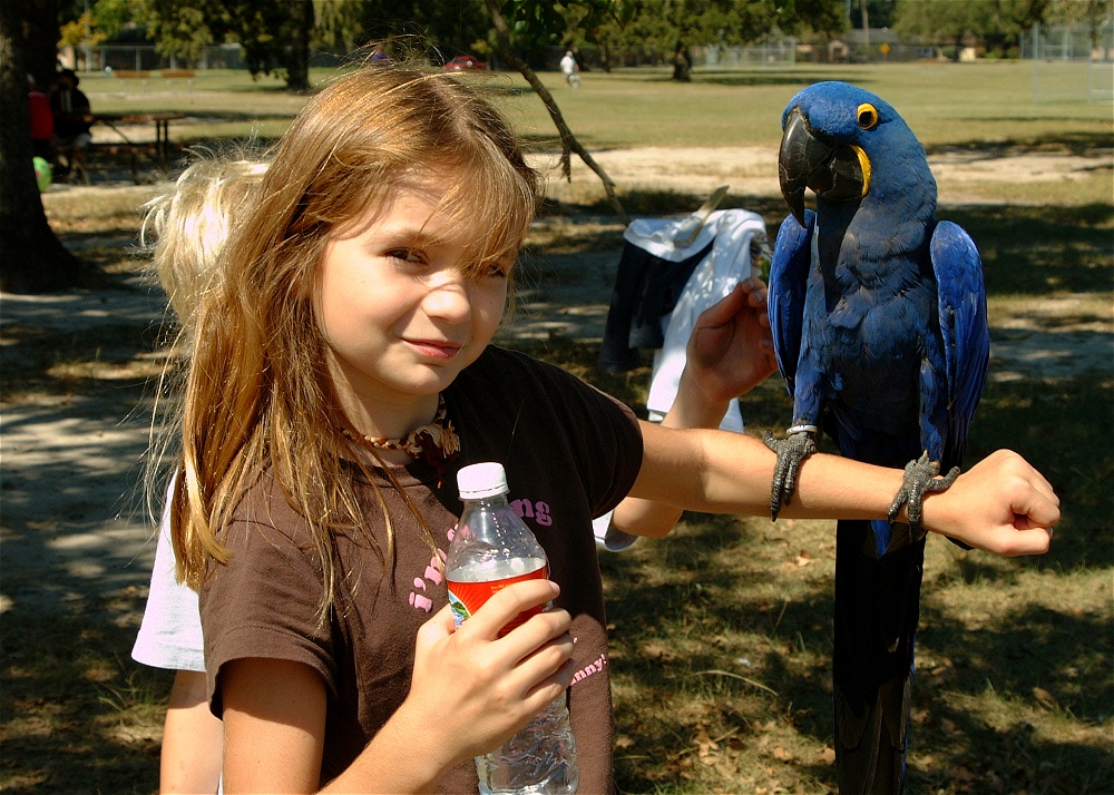 (49) Dscf0119.jpg   (1000x714)   339 Kb                                    Click to display next picture