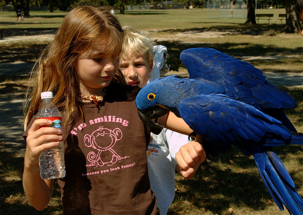 (50) Dscf0120.jpg   (1000x709)   352 Kb                                    Click to display next picture