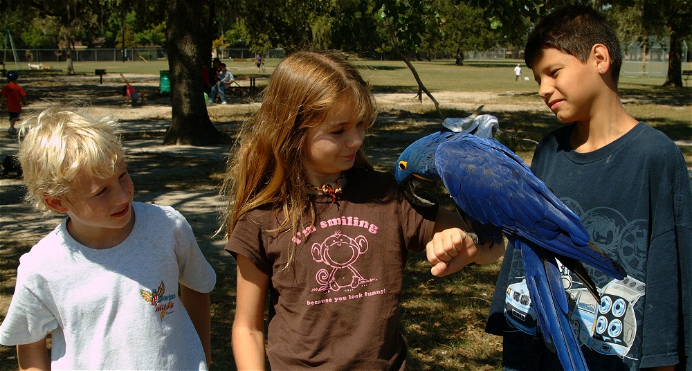 (51) Dscf0122.jpg   (1000x536)   294 Kb                                    Click to display next picture