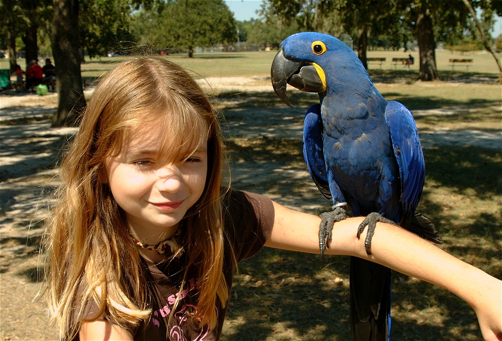 (52) Dscf0129.jpg   (1000x679)   347 Kb                                    Click to display next picture