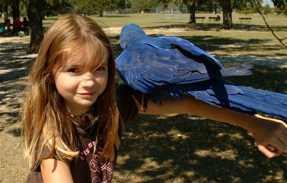 (53) Dscf0130.jpg   (1000x638)   323 Kb                                    Click to display next picture