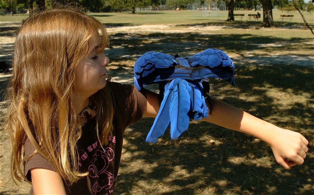 (54) Dscf0131.jpg   (1000x623)   320 Kb                                    Click to display next picture