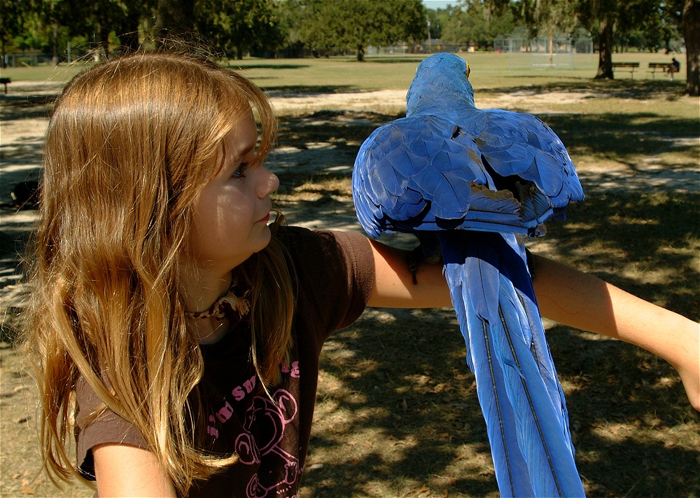 (55) Dscf0132.jpg   (1000x711)   372 Kb                                    Click to display next picture