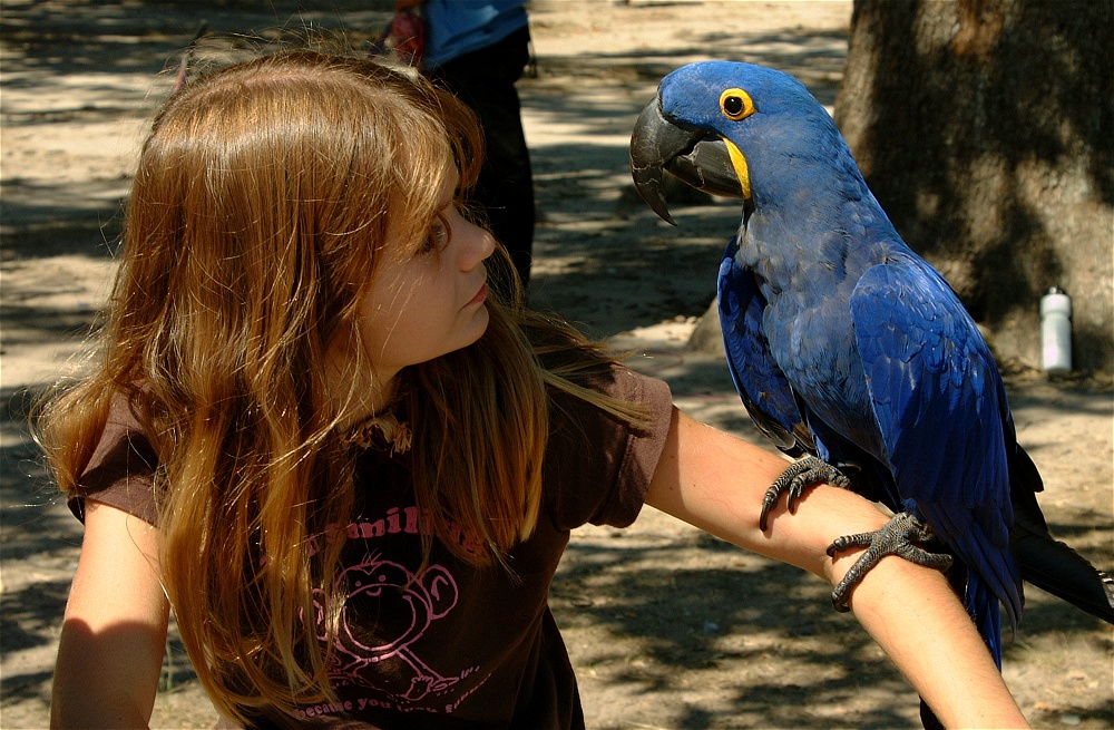 (56) Dscf0145.jpg   (1000x655)   311 Kb                                    Click to display next picture