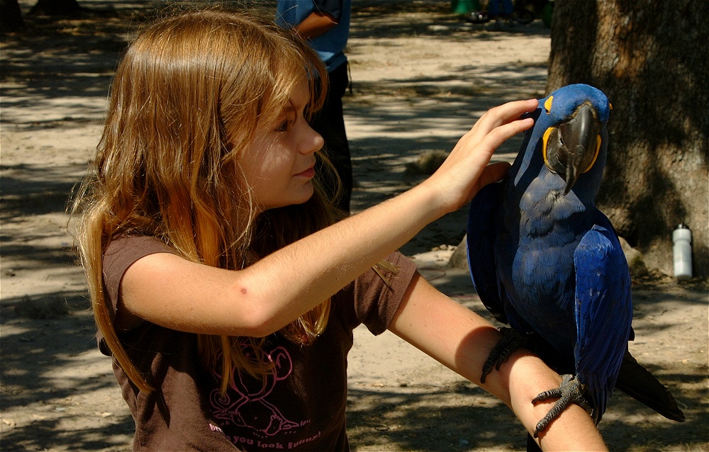 (57) Dscf0146.jpg   (1000x638)   292 Kb                                    Click to display next picture