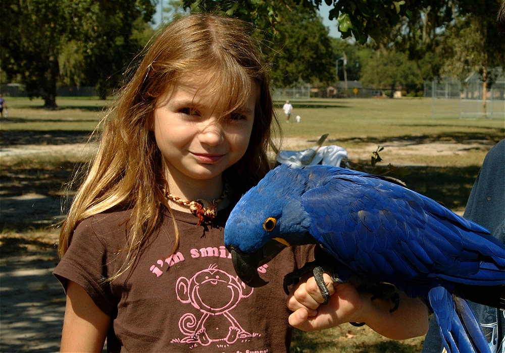 (58) Dscf0121.jpg   (1000x700)   333 Kb                                    Click to display next picture