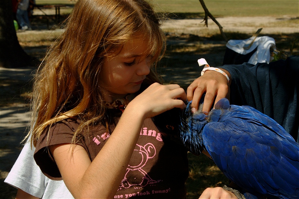 (59) Dscf0123.jpg   (1000x664)   302 Kb                                    Click to display next picture